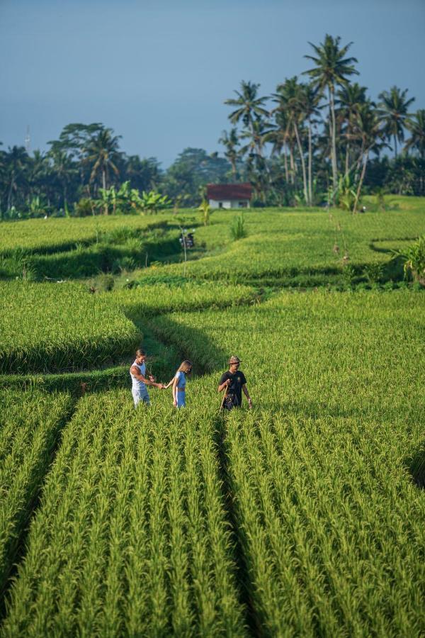 The Sun Of Granary Resort And Villas Ubud Eksteriør bilde