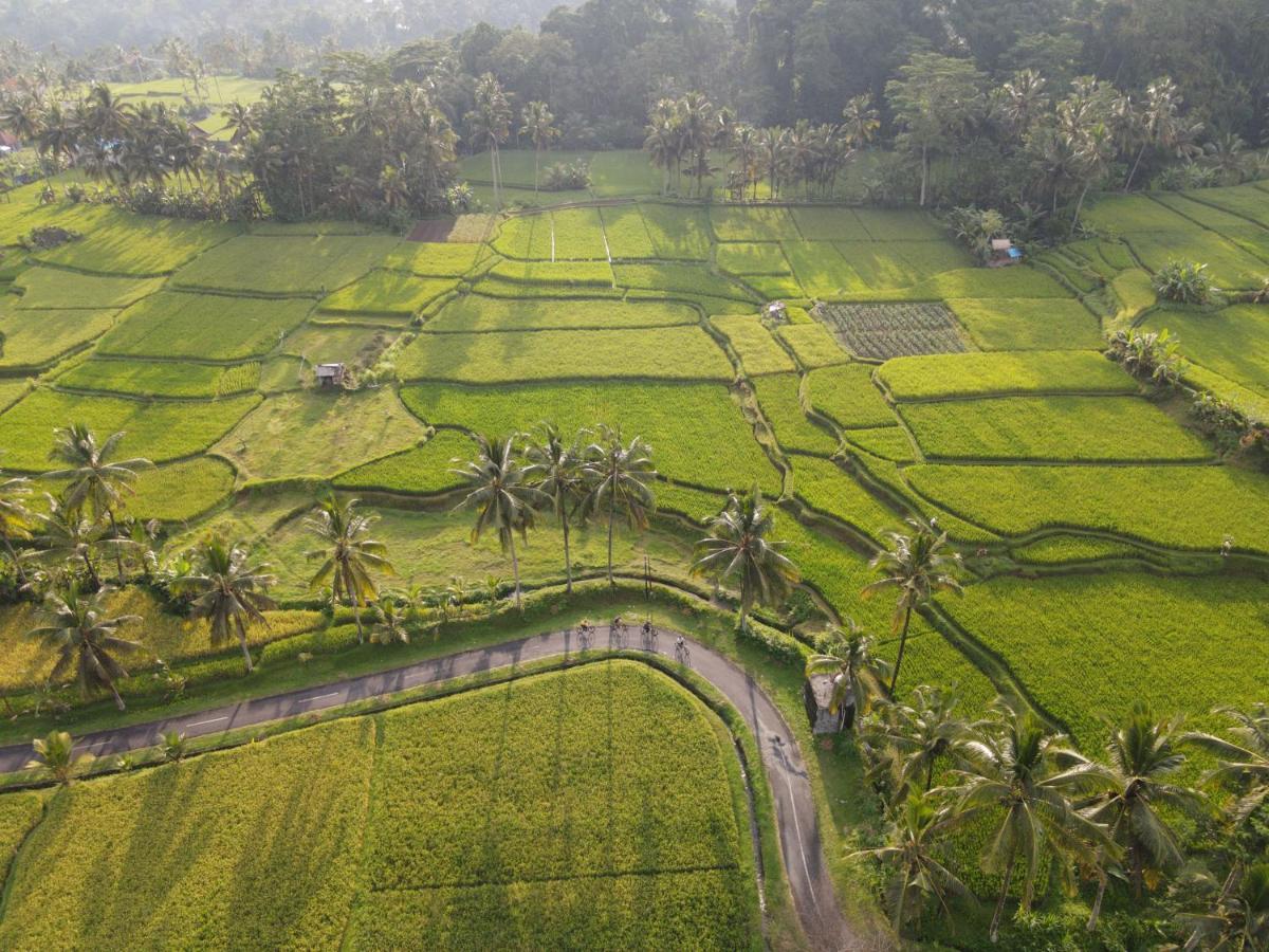 The Sun Of Granary Resort And Villas Ubud Eksteriør bilde