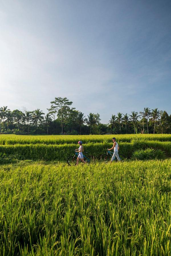 The Sun Of Granary Resort And Villas Ubud Eksteriør bilde