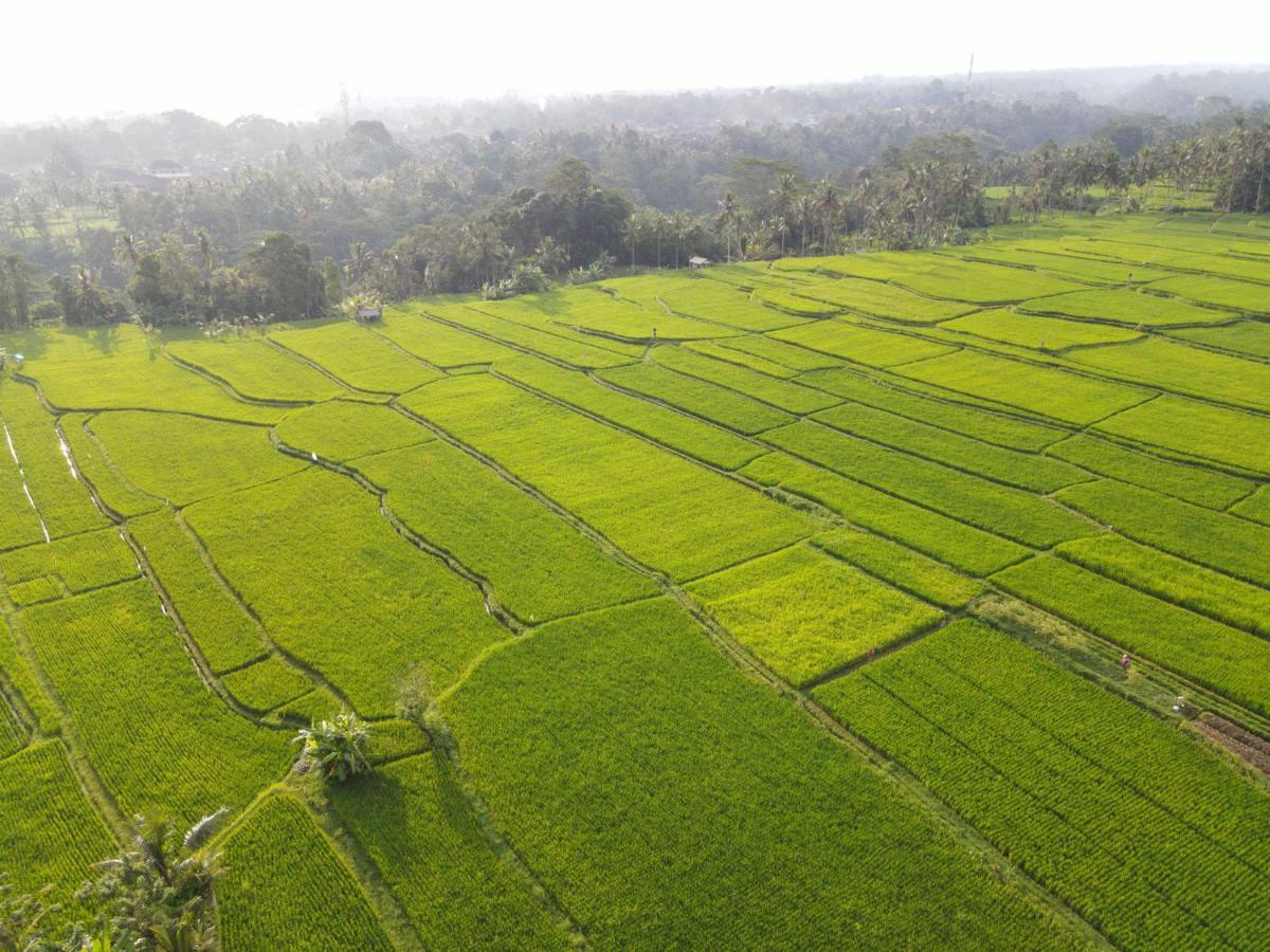 The Sun Of Granary Resort And Villas Ubud Eksteriør bilde