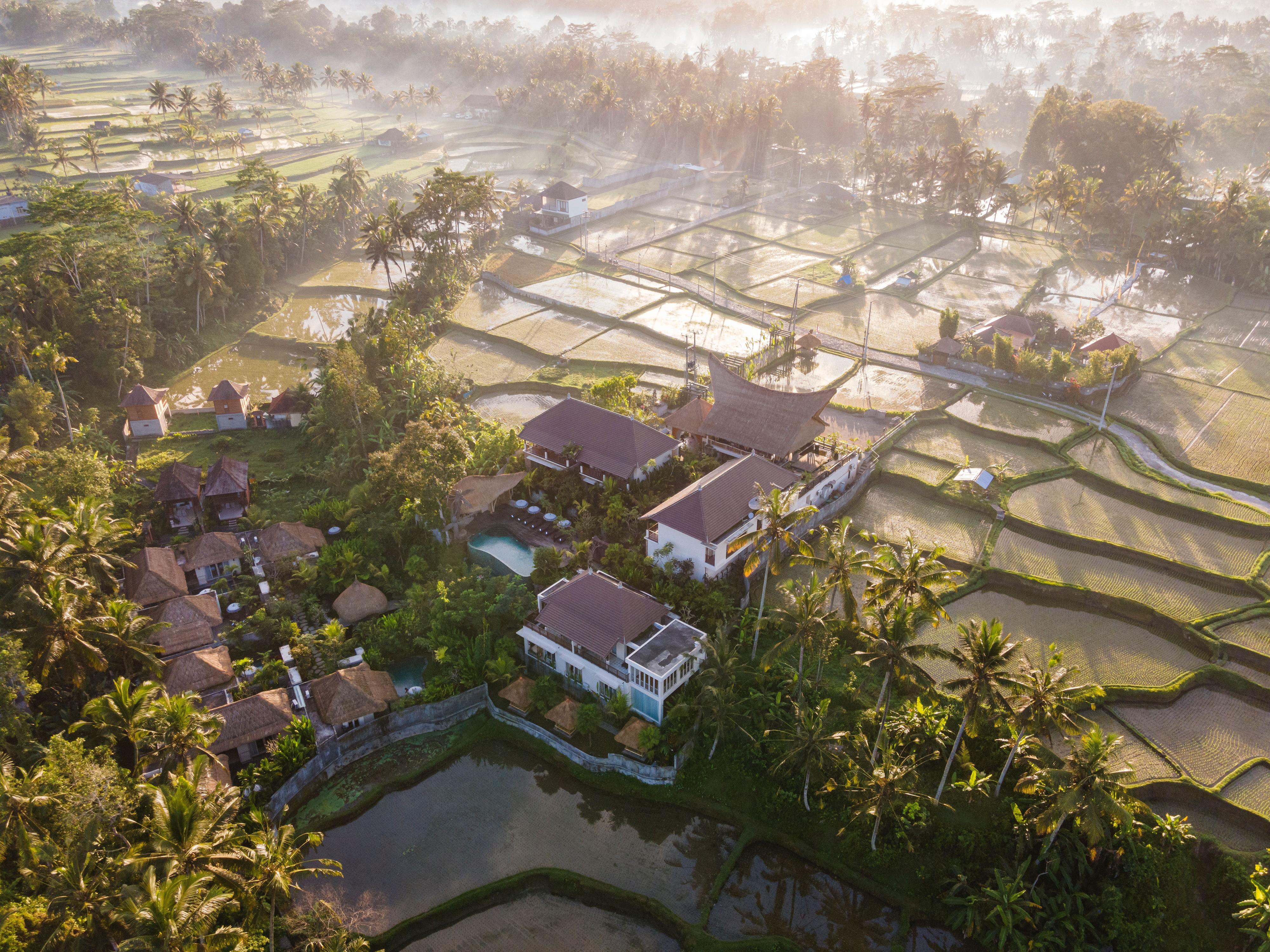 The Sun Of Granary Resort And Villas Ubud Eksteriør bilde