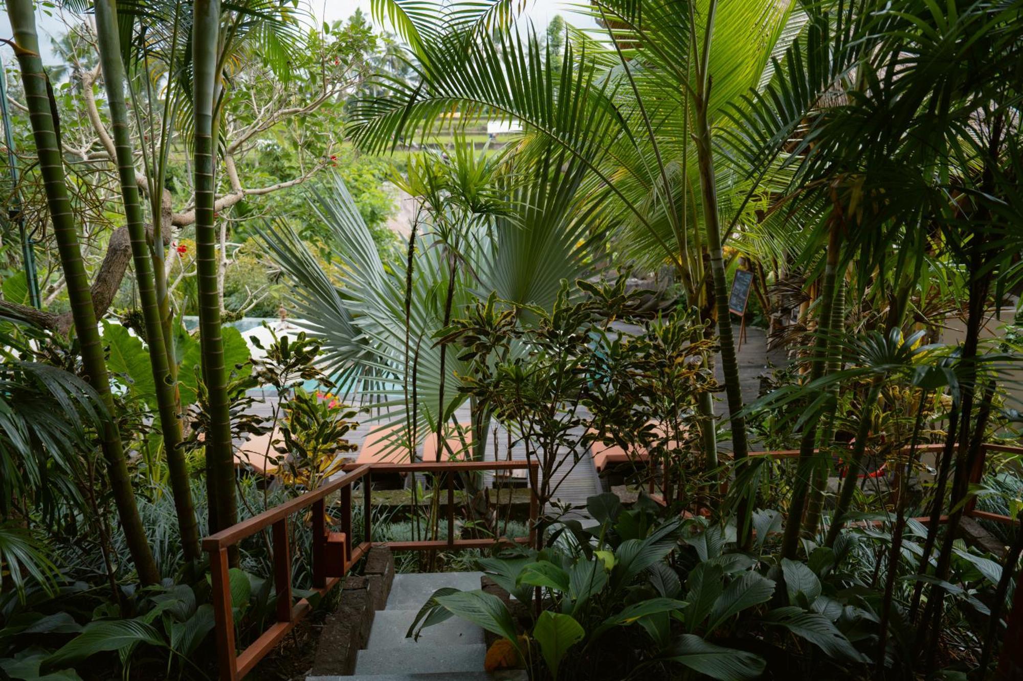 The Sun Of Granary Resort And Villas Ubud Eksteriør bilde